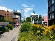 142  High Line.jpg